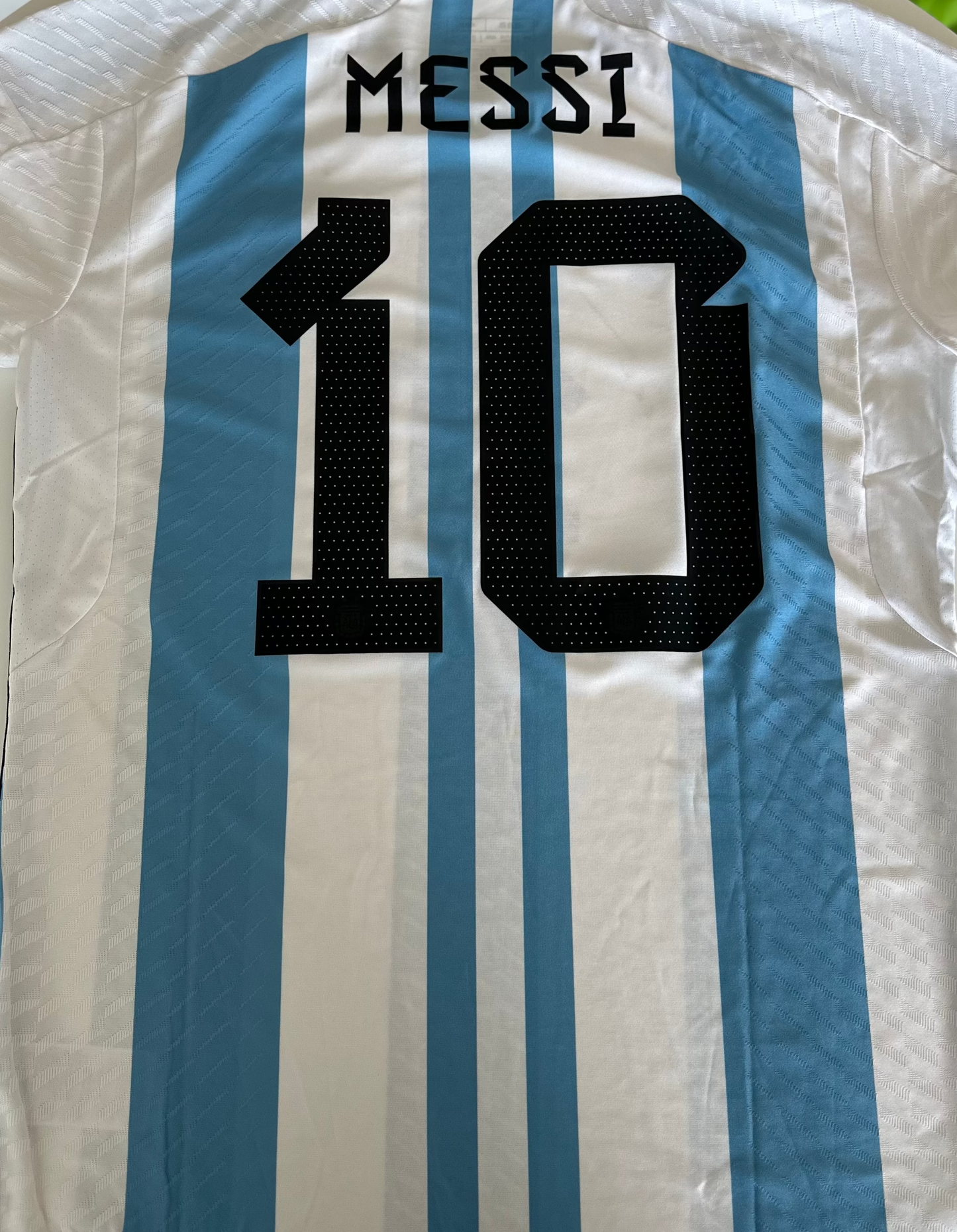 Lionel Messi Signed 2022  Player Issue Argentina Jersey