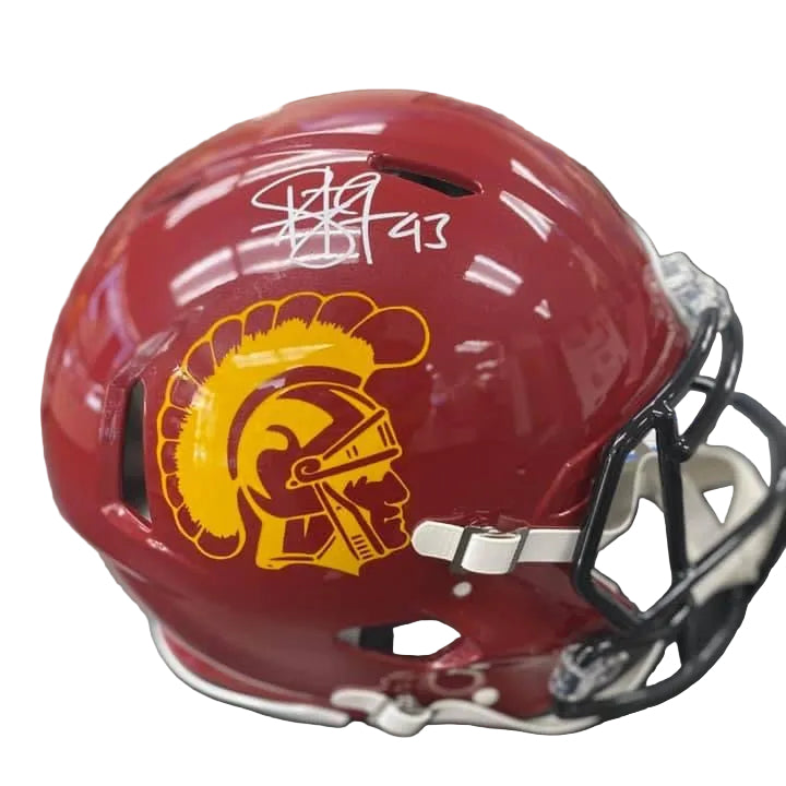 Troy Polamalu Signed and Inscribed Hand Painted Speed Authentic