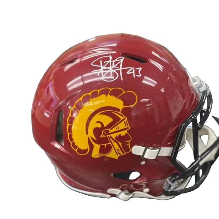 Troy Polamalu Signed and Inscribed Hand Painted Speed Authentic