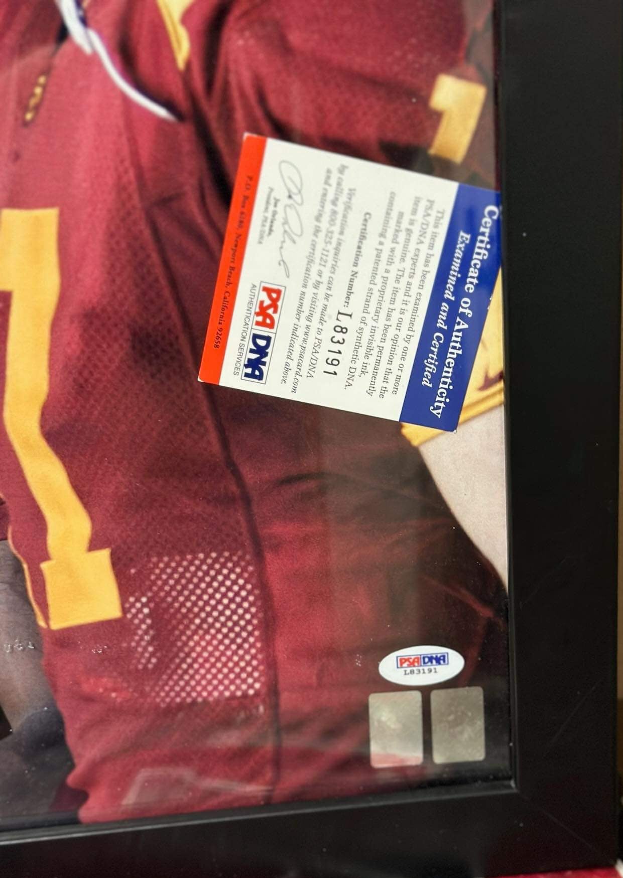 Matt Leinart & Reggie Bush Dual-Signed 16x20 USC Trojans Photo