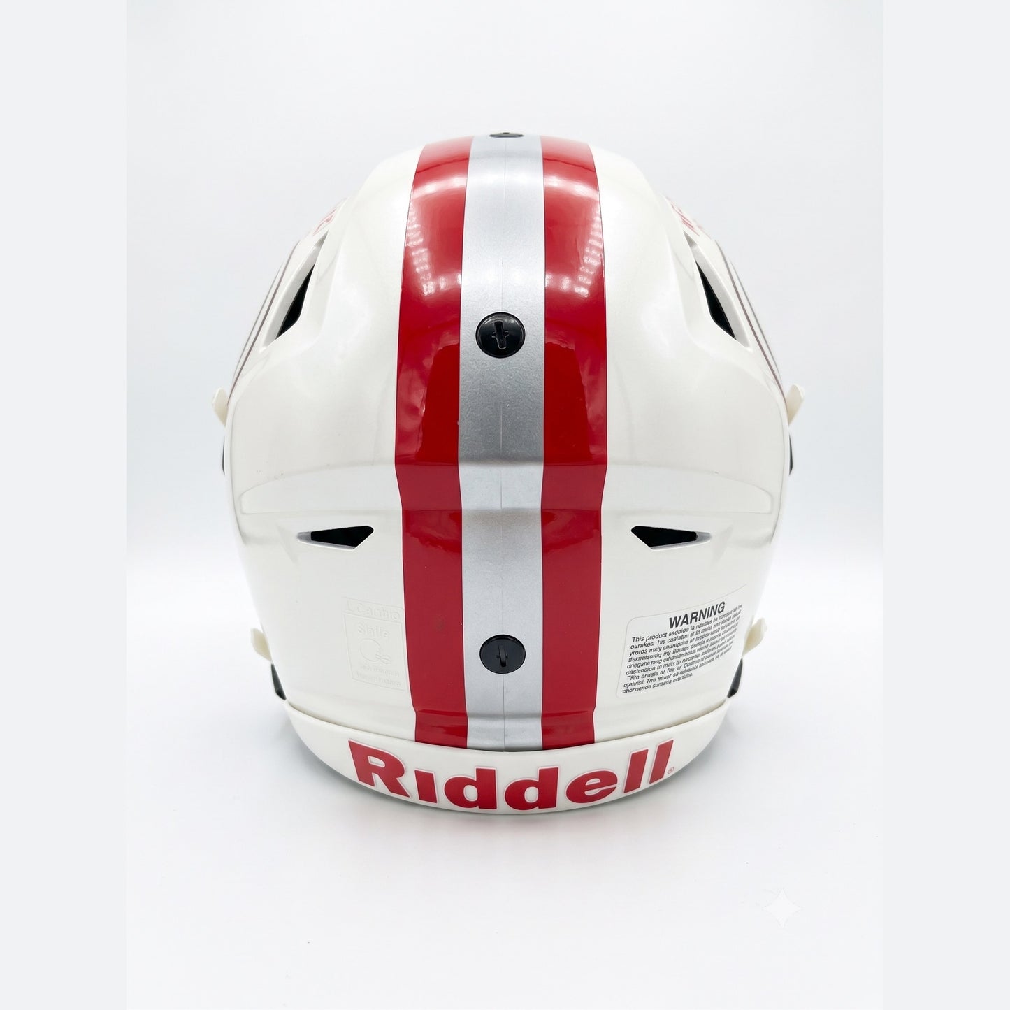 Jerry Rice 49ers All Hand-Painted Speed Flex Helmet with 4 Inscriptions